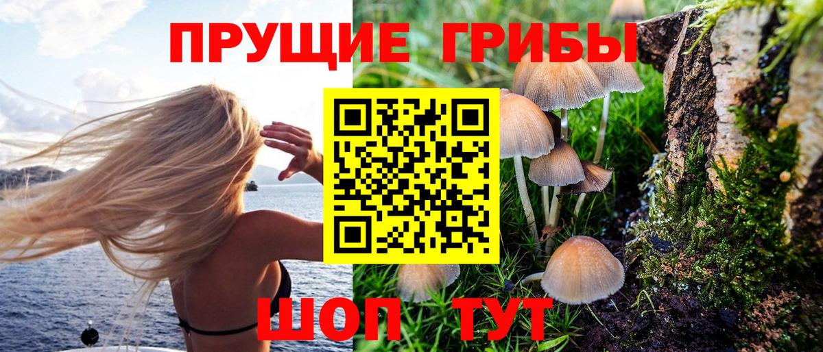 Галлюциногенные грибы Cubensis Сыктывкар