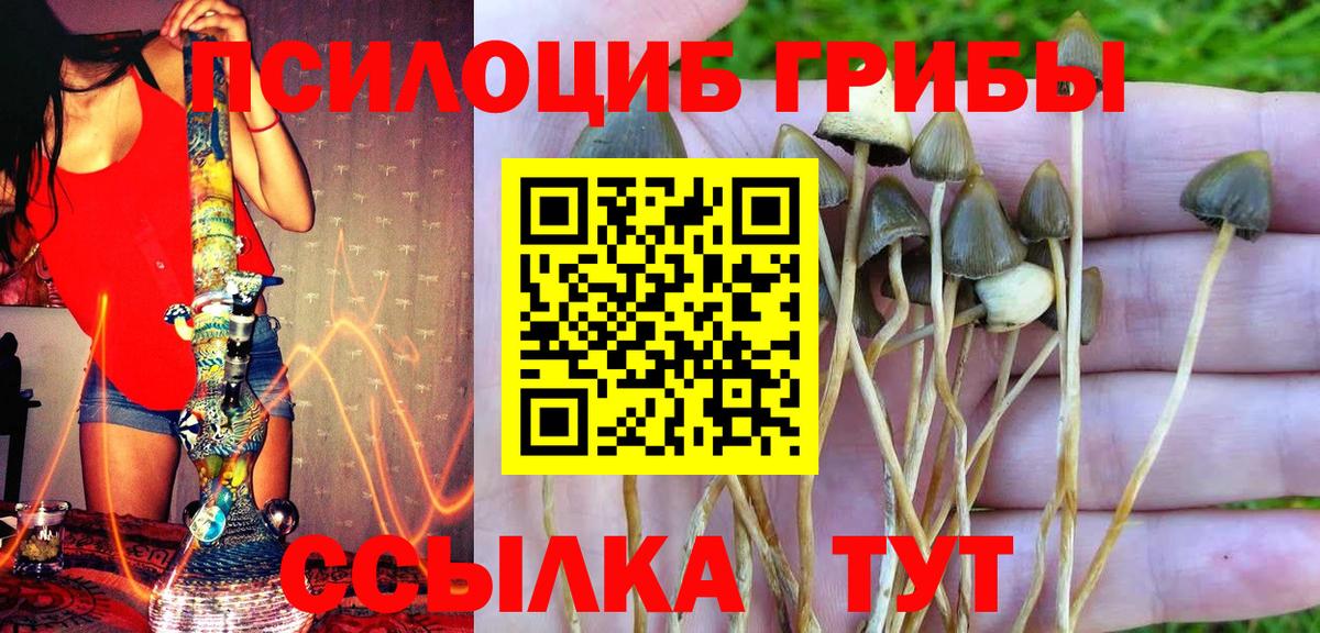 Сыктывкар  где можно купить наркотик  Галлюциногенные грибы ЛСД  Вход с VPN  Галлюциногенные грибы мухоморы 